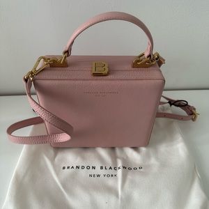 Brandon Blackwood Kendrick Trunk in Soft Pink with Brass Hardware